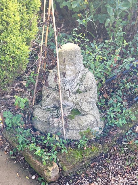 A proper little Buddha